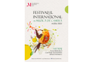 Seara care începe cu un arcuș și se termină în inimă. Despre muzica de cameră și misterul apropierii